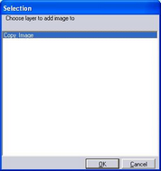 Copy_image1