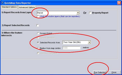 MVReport4