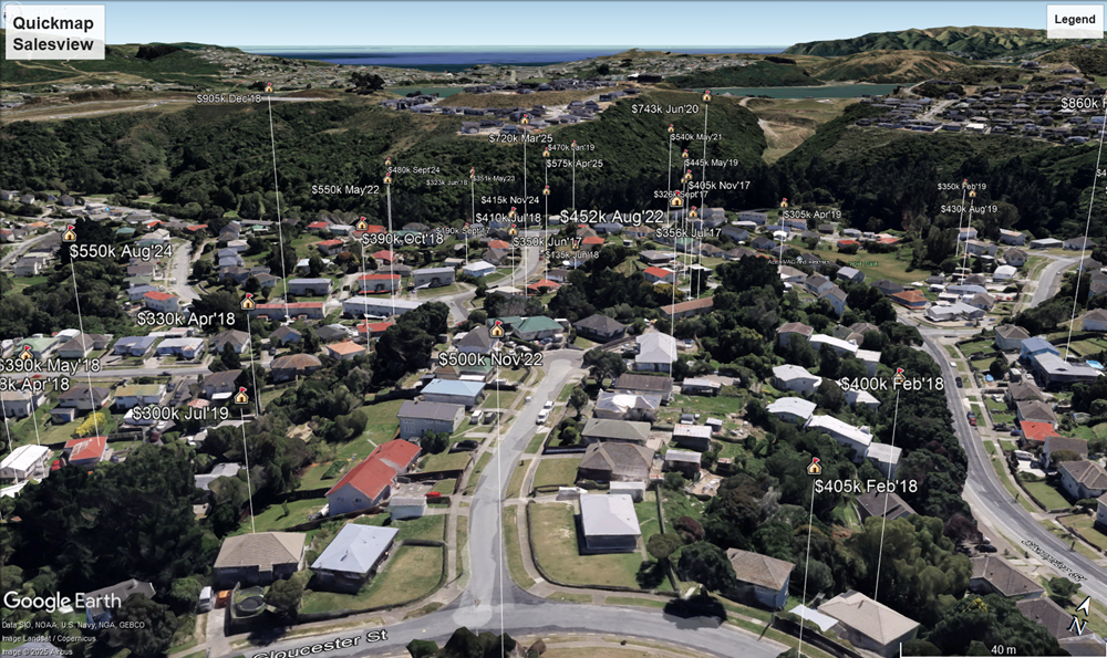 GoogleEarthSalesview