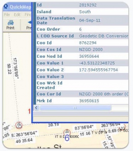 SurveyView-Marks